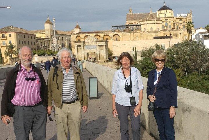 Cordoba City Tour with Mosque-Cathedral from Seville