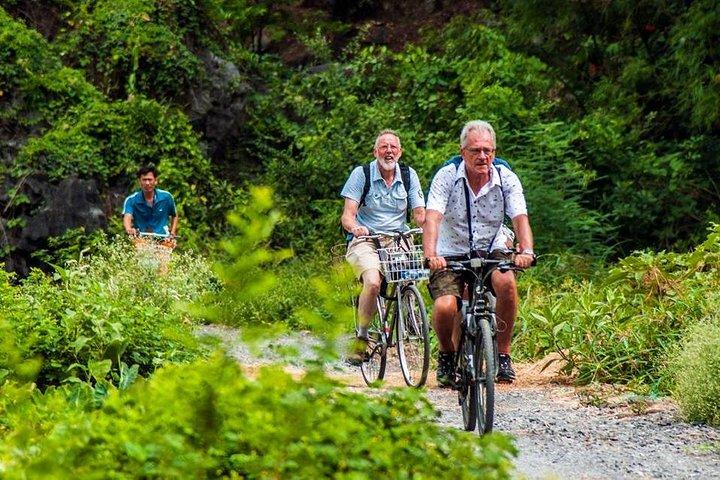 Ninh Binh Tour Hoa Lu Tam Coc Full Day: Biking,Boating,Tickets,Lunch, Limousine