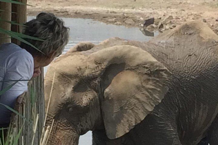 Pilanesberg National Park Safari in Open Vehicle from Johannesburg