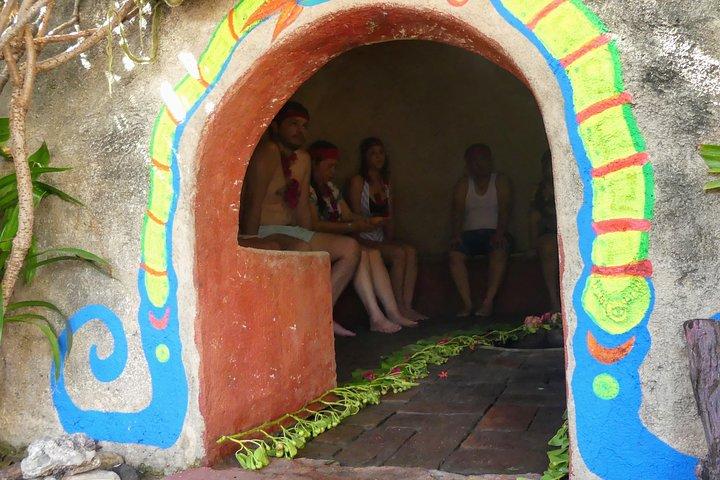 Aztec Temazcal Experience & Jungle Coyuca Lagoon &Turtle Release