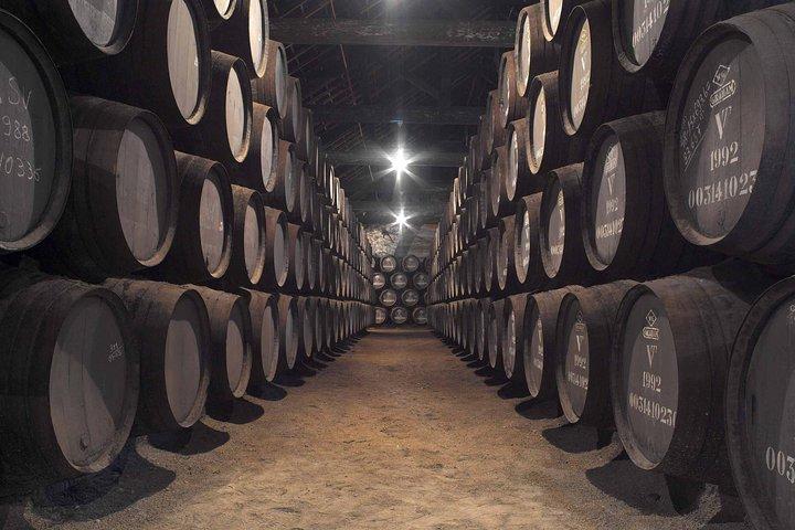 Private Flexible Porto Tour from Lisbon with Local Tour Guide
