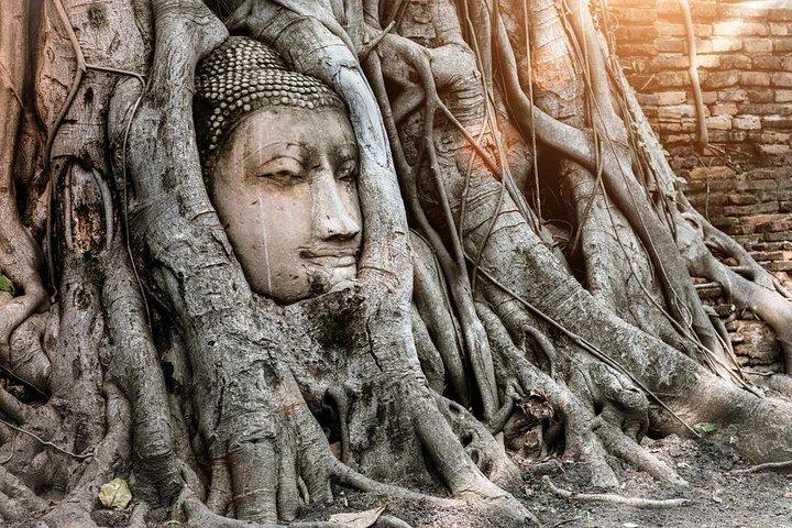 Ayutthaya Temples and Ayothaya Floating Market From Bangkok