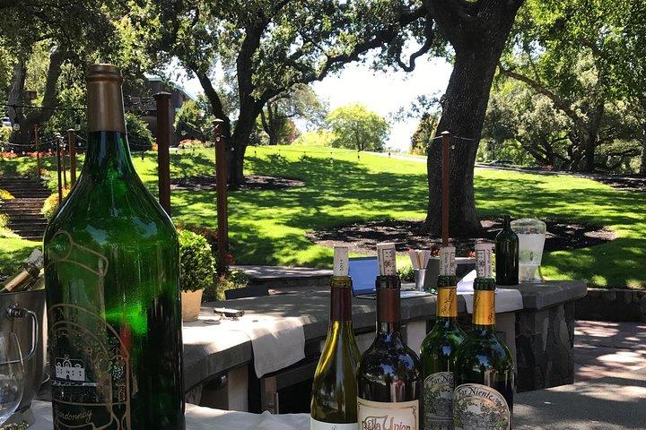 8hr Private Sonoma and Napa Wine Tour from San Francisco.XL SUV