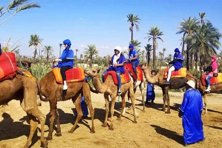 Camel Ride in Marrakech with Hotel-Pick up and Drop-off Included