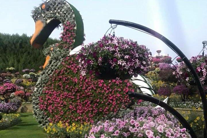 Miracle Garden & Butterfly Garden with Ticket & Private Transfers