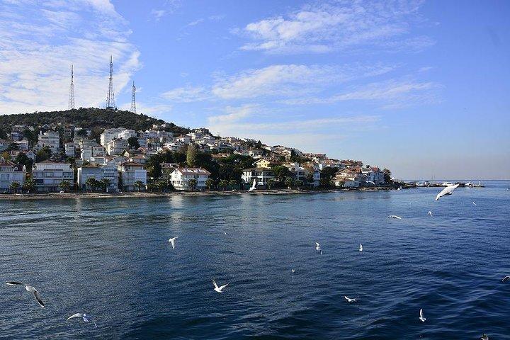 Princes Islands Tour from istanbul