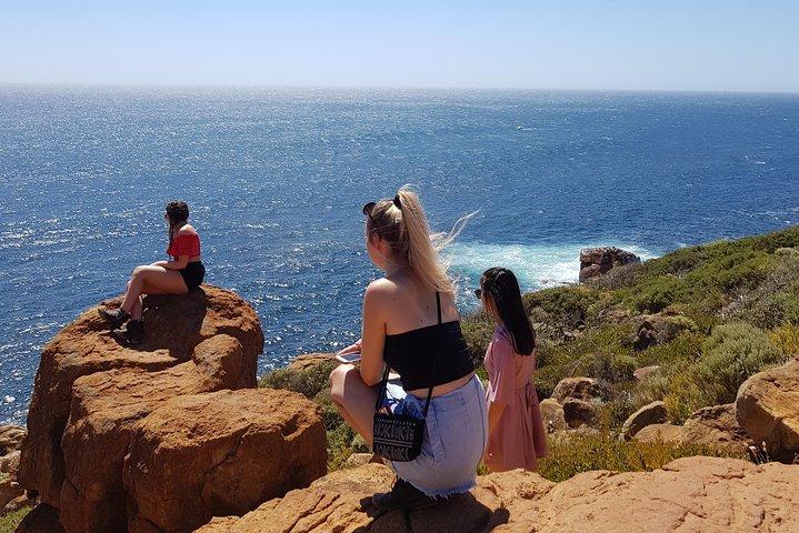 Hidden Gems of Margaret River: Wine, Italian Lunch & Emu Feeding