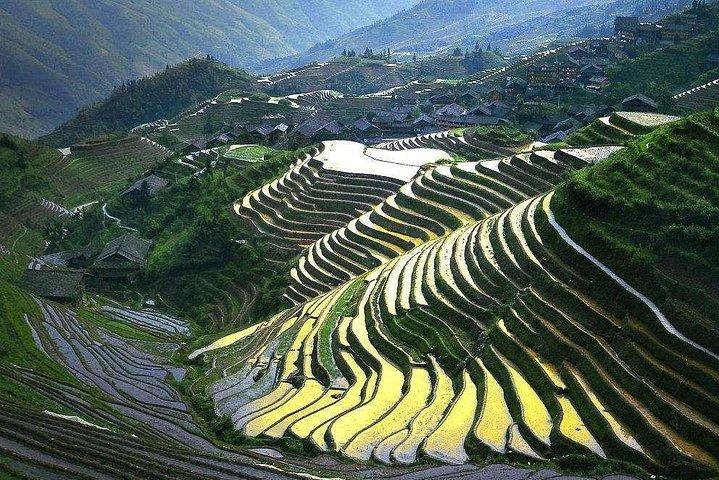 Full-day Tour: Longji Rice Terraces & Minority Villages