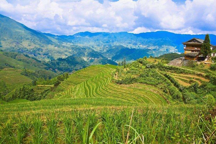 Full-day Tour: Longji Rice Terraces & Minority Villages