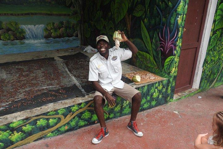 Monkeyland and Plantation Safari Tour from Punta Cana