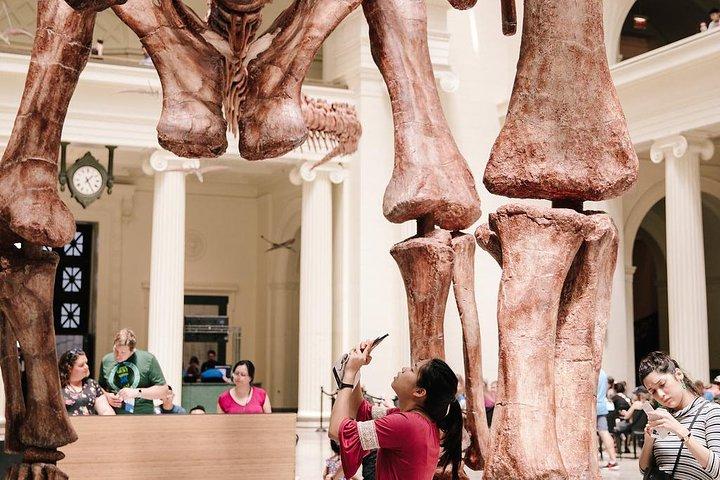 Field Museum of Natural History Admission Tickets