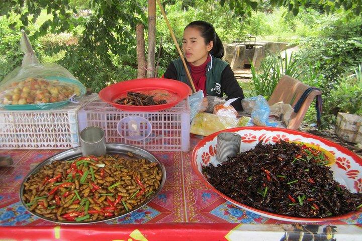 Siem Reap Countryside & Floating Village ( Meychrey)