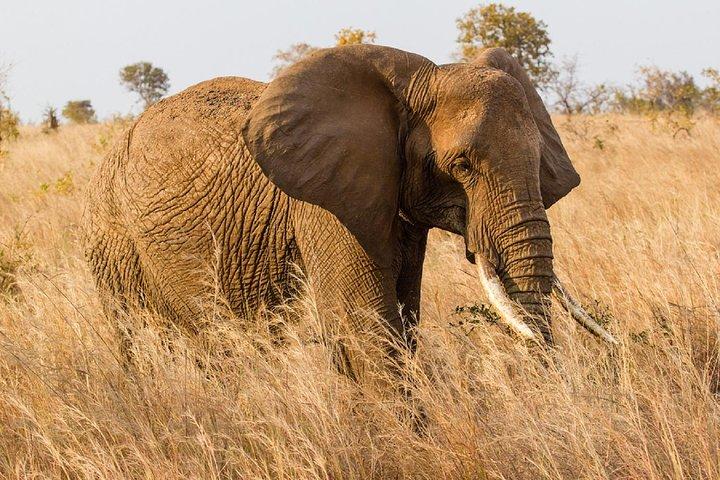 7-Day Great Migration Safari