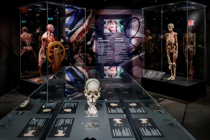 Body Worlds Amsterdam Admission Ticket