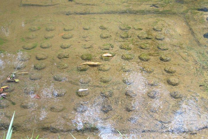 Kulen Mountain and Floating Village (Kampong Phluk) Tour