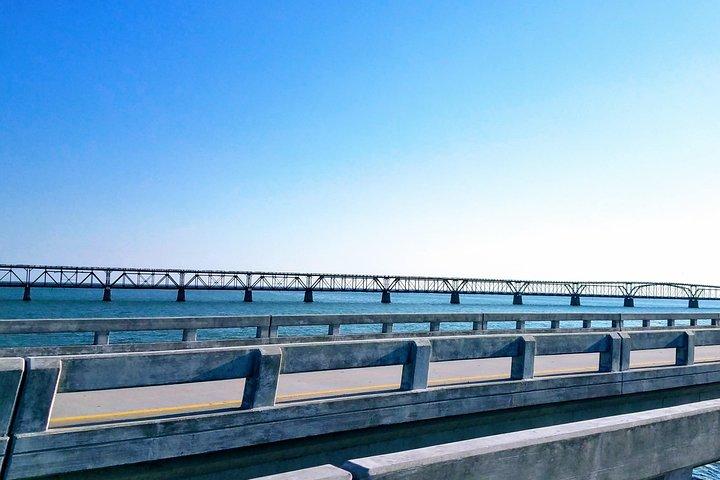 Florida Keys Nature & History Tour from Key West