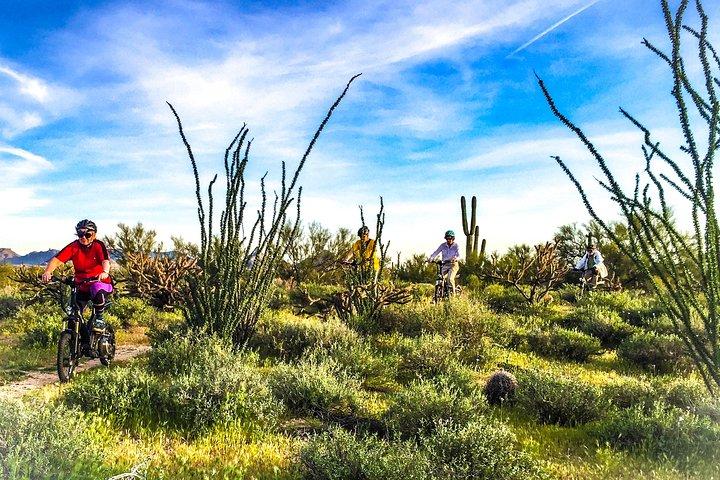 Arizona Desert Guided E-Bike Adventure