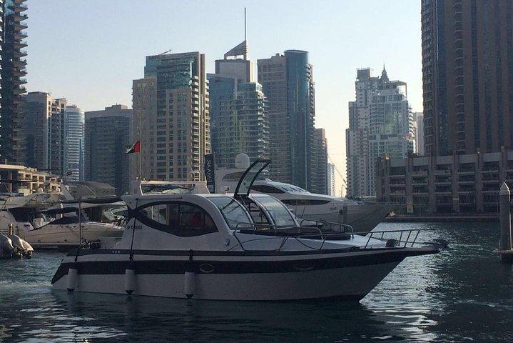 Fishing Yatch Tour At Marina Private Basis