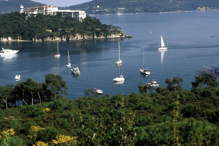 Princes Islands Tour from istanbul