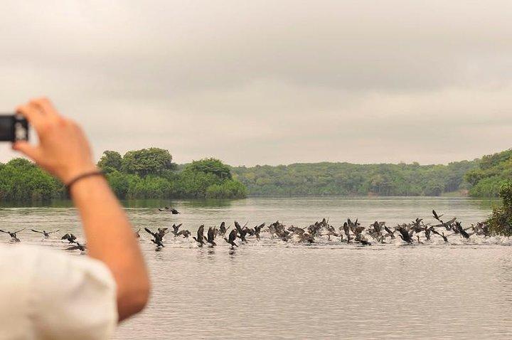 3-Day Manaus Amazon Jungle Adventure