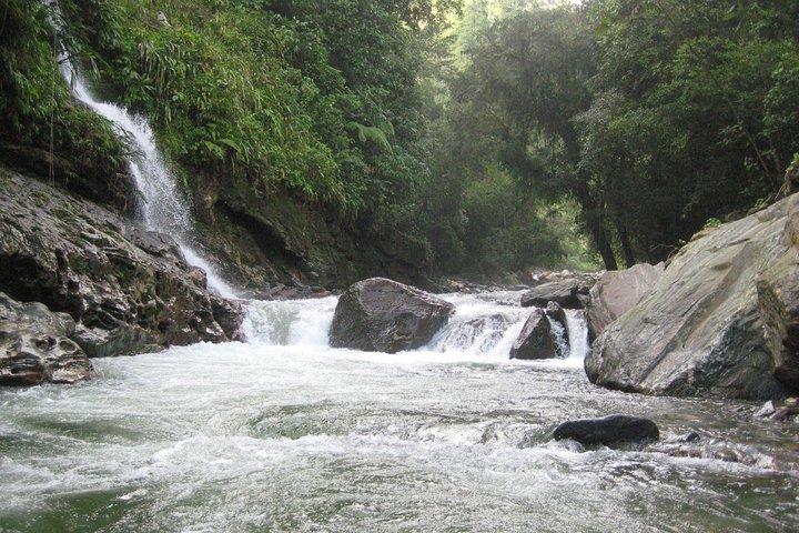 4-Day Lost City Small-Group Tour in Santa Marta