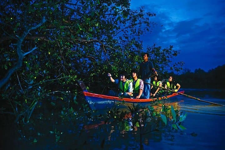 Kuala Selangor Firefly & Batu Caves Tour include Dinner+Boat-Ride