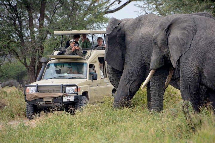 Discover Kenya 9 Days Wildlife Safari