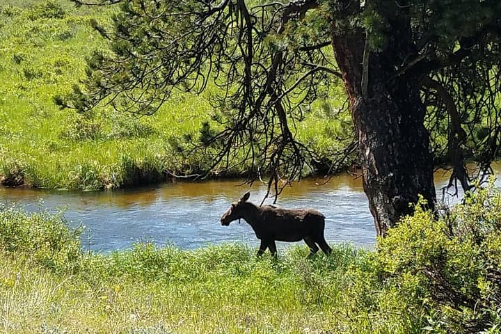 Rocky Mountain National Park and Estes Park Tour from Denver Winter and Spring