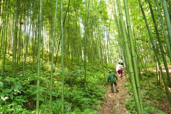 2-day Mai Chau Visit and Da River Boat Trip with round trip from Hanoi