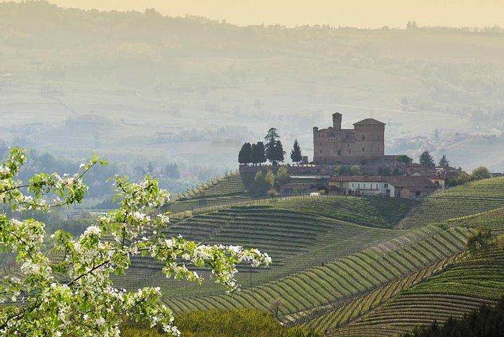 Piedmont Winery Tour: Taste Barolo, Barbaresco & Traditional Food