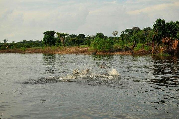 3-Day Manaus Amazon Jungle Adventure