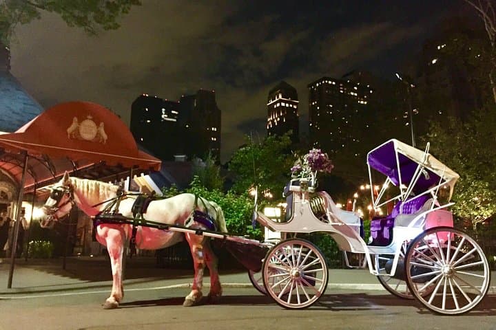 Horse Carriage Romantic Ride (VIP-Private) in Central Park 1964