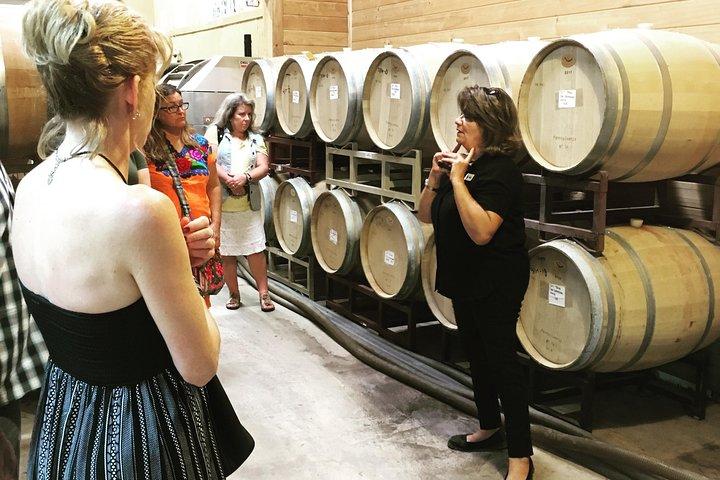 Taste of Fredericksburg Small-Group Wine Tour from San Antonio