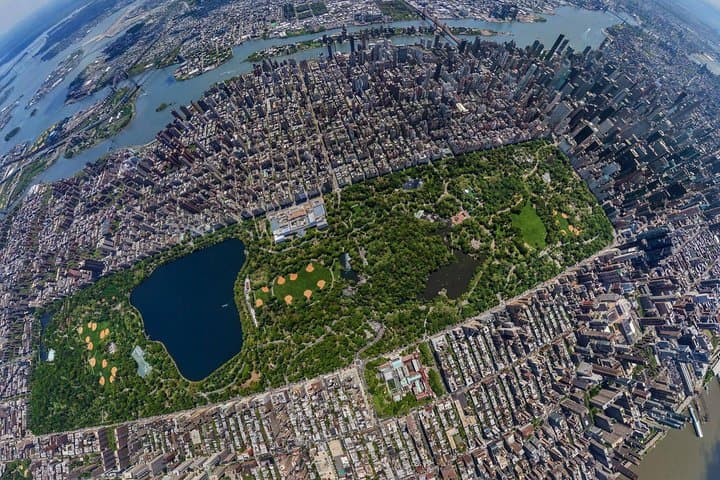 NYC Central Park Horse Carriage Ride (Up to 4 Adults)