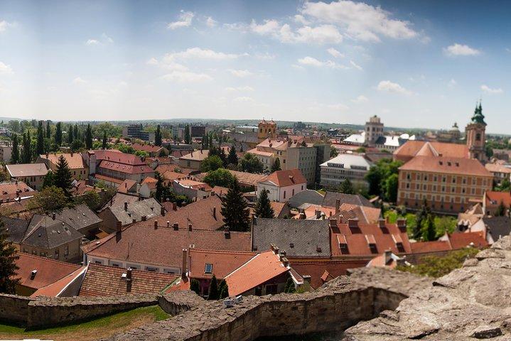 Eger Private Full-Day Wine Tasting Tour and Sightseeing from Budapest