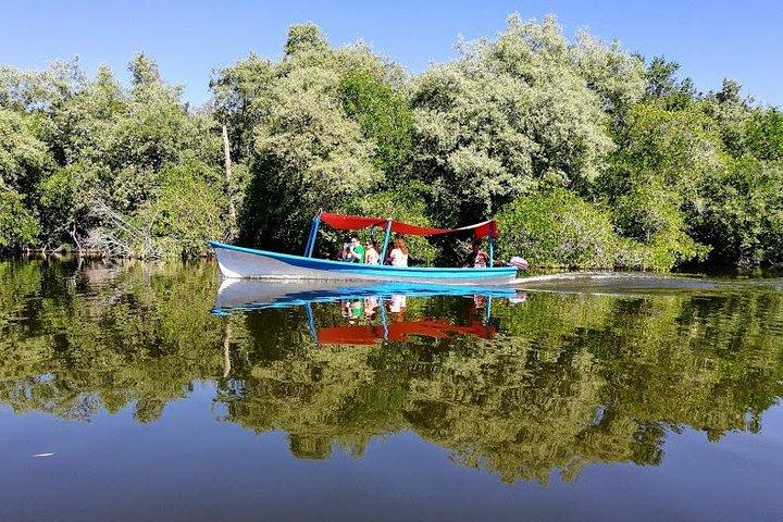 Wild & Free: Lagoon Boat, Beach Horseback, Crocs & Turtle Release