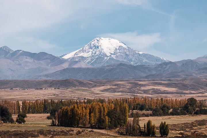 Prestigious wineries of Uco - Private luxury tour