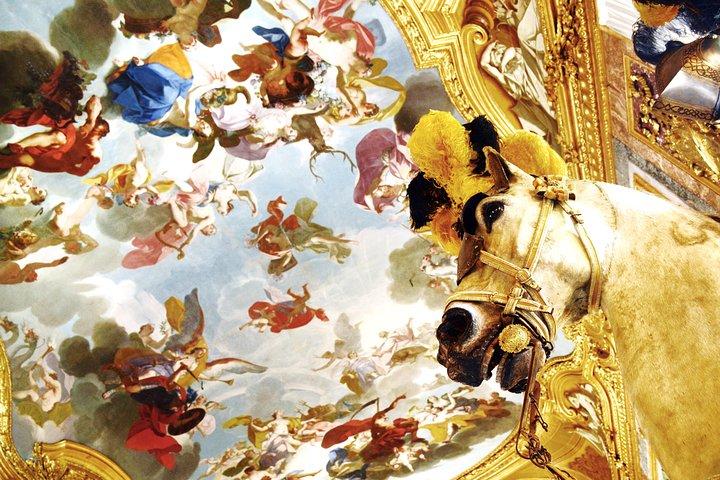 Private Turin Royal Palace Tour with Holy Shroud Chapel