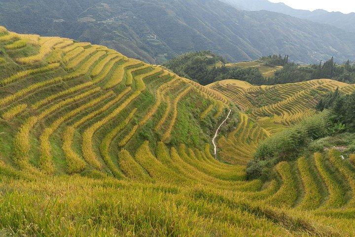 Longji Rice Terraces Day Tour from Yangshuo hotel