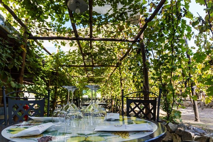 Pompeii Vineyard Escape: Private Wine Tasting & Lunch