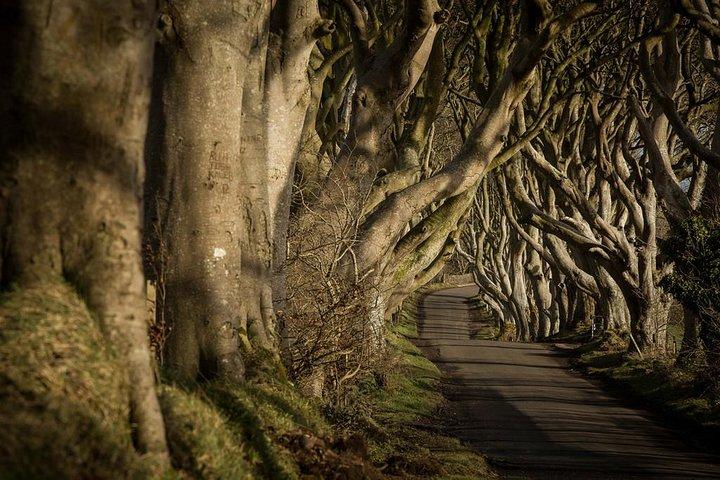 Giant's Causeway Tour with Titanic Experience Ticket from Belfast