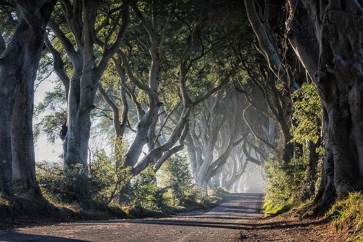 Giant's Causeway Tour with Titanic Experience Ticket from Belfast