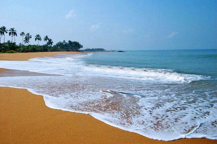 Shore Excursion from Colombo port to Negombo Beach & back for 7 to12 People
