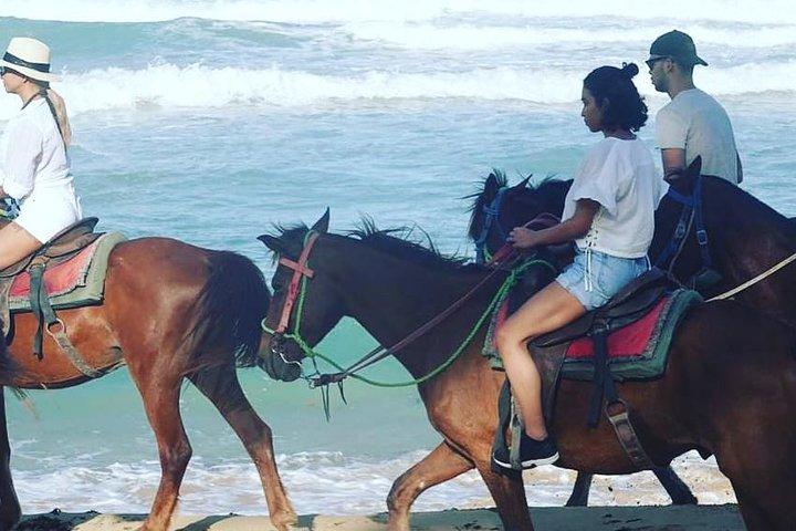 Sunset beach horsebackriding Punta Cana