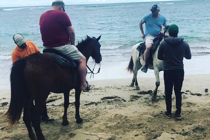 Sunset beach horsebackriding Punta Cana
