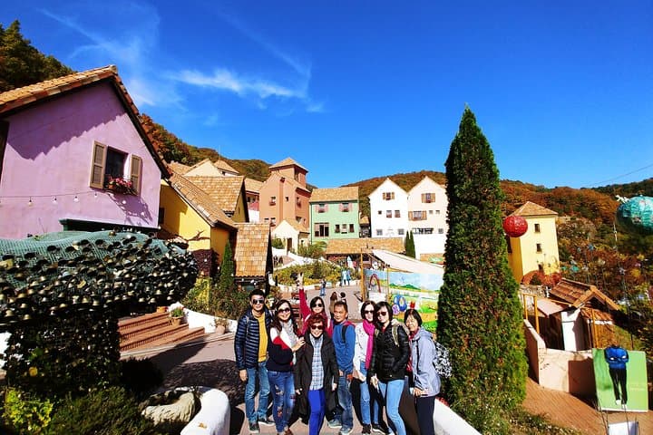 Full-Day Customizable Private Tour to Nami Island and surrounding Area