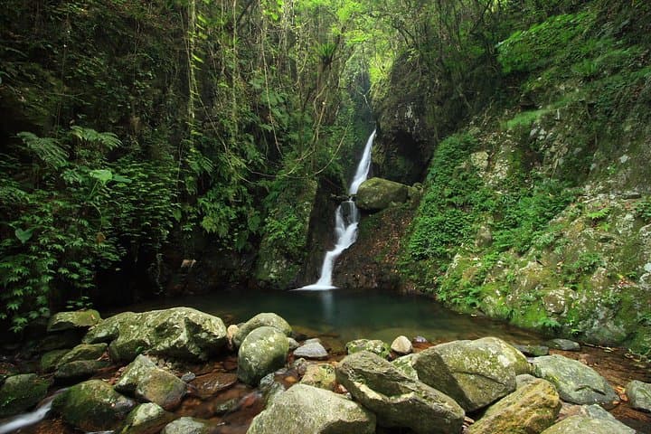 Tai Mo Shan Waterfall Adventure Hike