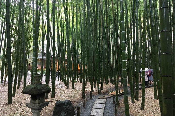 Exciting Kamakura - One Day Tour from Tokyo