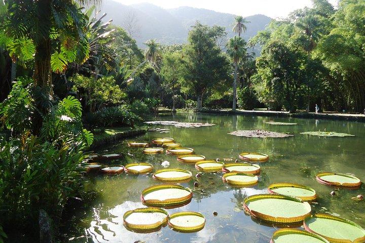 Jeep Tour - Corcovado, Sugar Loaf, Botanic Garden, Tijuca Forest
