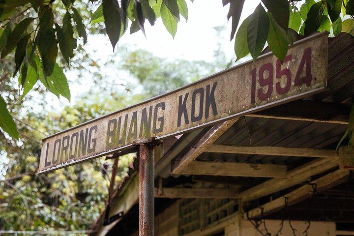 Off the Beaten Track in Singapore: Private City Tour